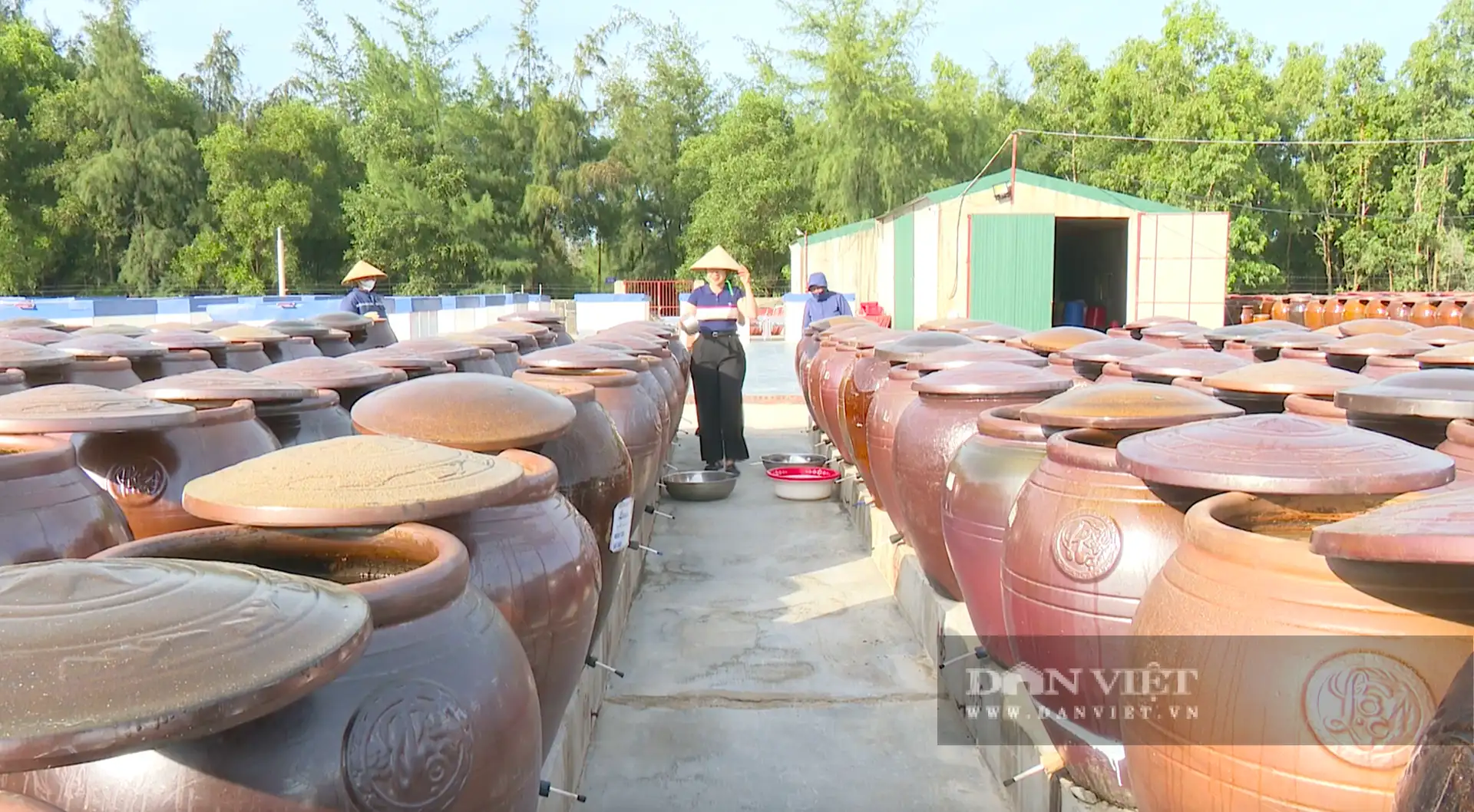 Sản phẩm đạt chuẩn 4 sao OCOP ở Hà Tĩnh, cầm chắc “tấm vé thông hành” ra “chợ quốc gia”