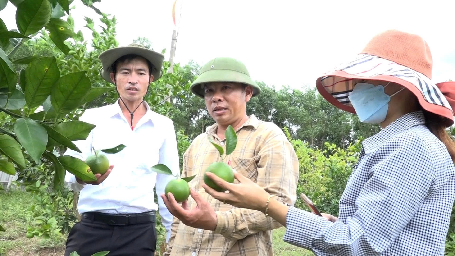 Sản xuất an toàn, nâng tầm giá trị nông sản