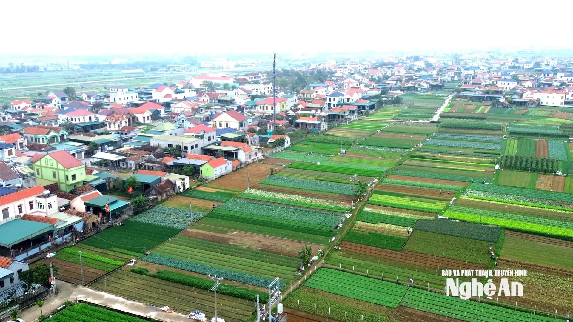 Sáp nhập xã thành công ở Nghệ An, xây dựng nông thôn mới xuất hiện áp lực nào về tiến độ?