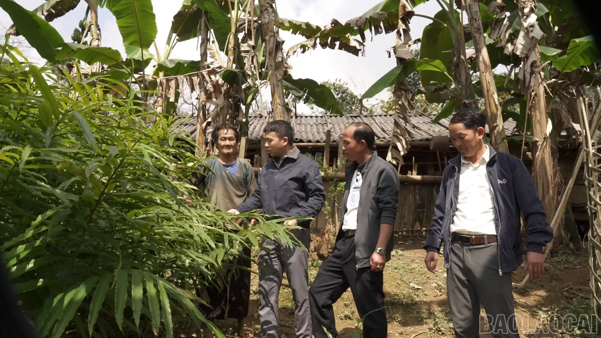 Sau những chương trình hỗ trợ, người dân sống ra sao?