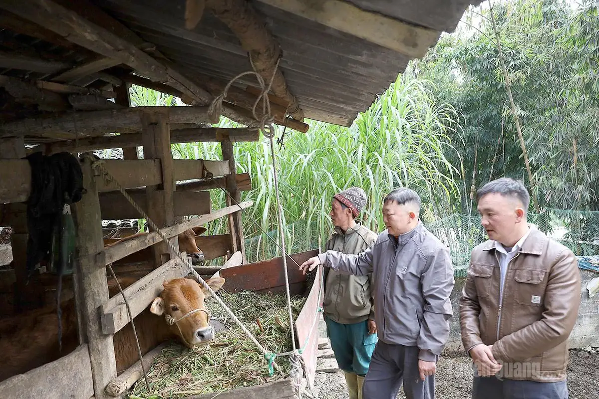 Sinh kế giảm nghèo