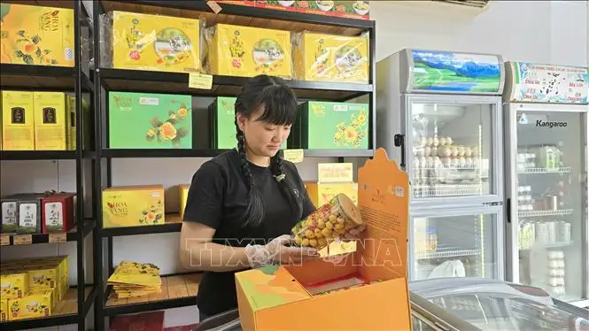 Số hóa sản phẩm OCOP đưa đặc sản địa phương vươn ra thế giới