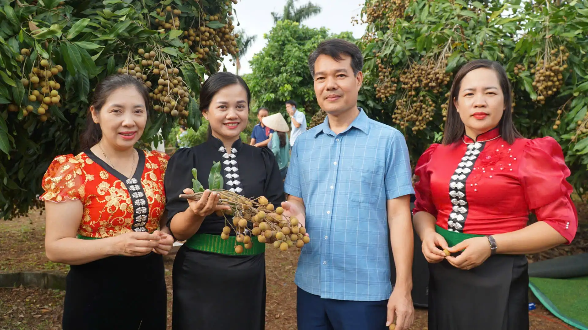 Sơn La thúc đẩy phát triển sản xuất từ Chương trình mục tiêu quốc gia