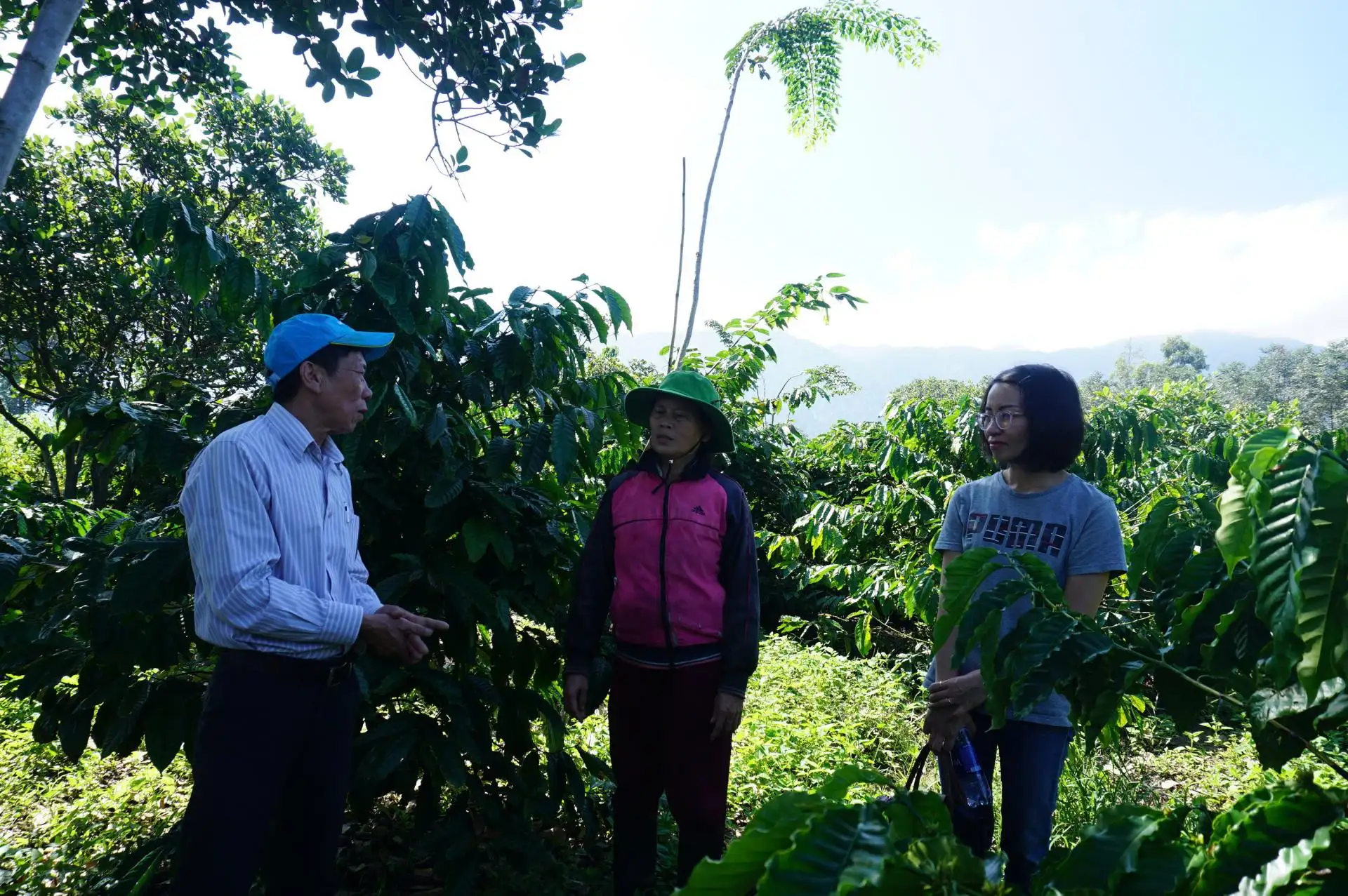 Sức mạnh cộng đồng trong việc phục hồi cảnh quan cà phê tại Đắk Lắk: Vì một tương lai bền vững