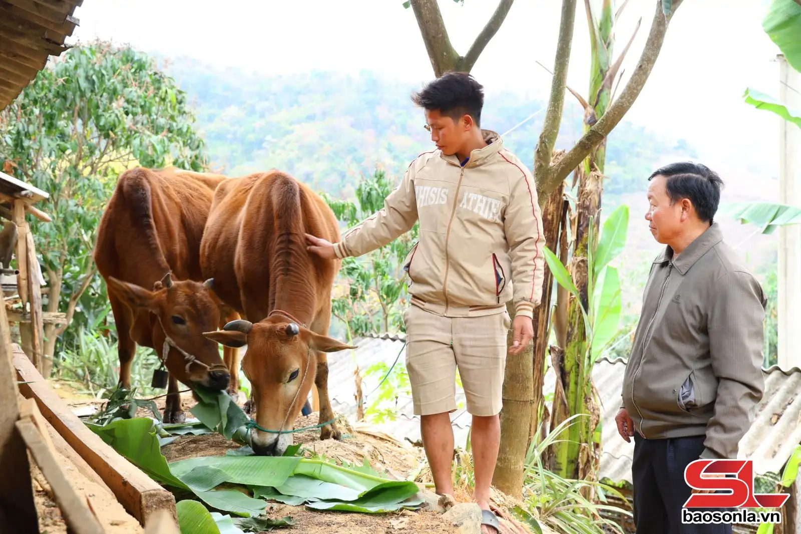 Sức sống mới ở Tạ Khoa