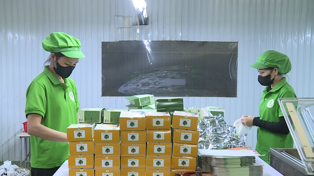 Tài nguyên bản địa – Động lực phát triển kinh tế HTX khu vực miền núi Thanh Hóa