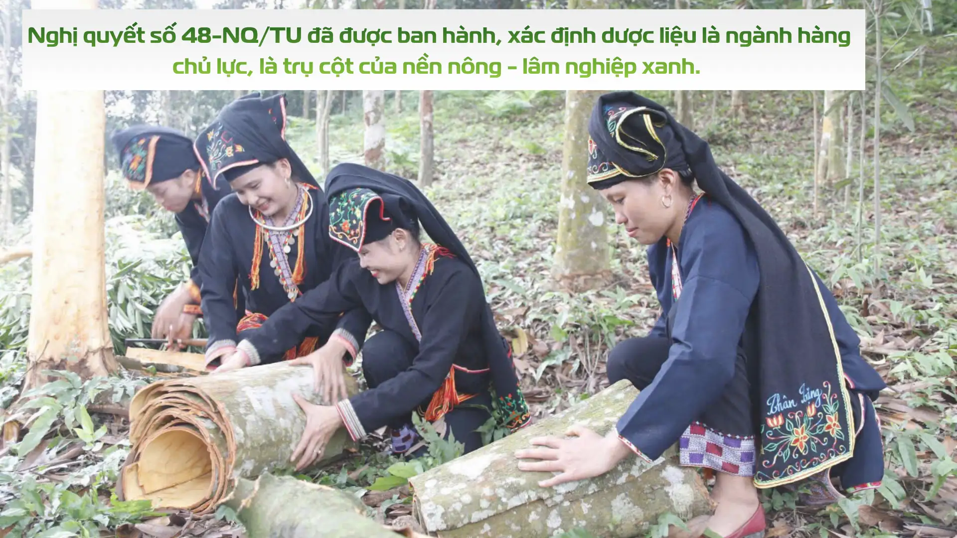 Tầm nhin cho nông nghiệp giá trị cao