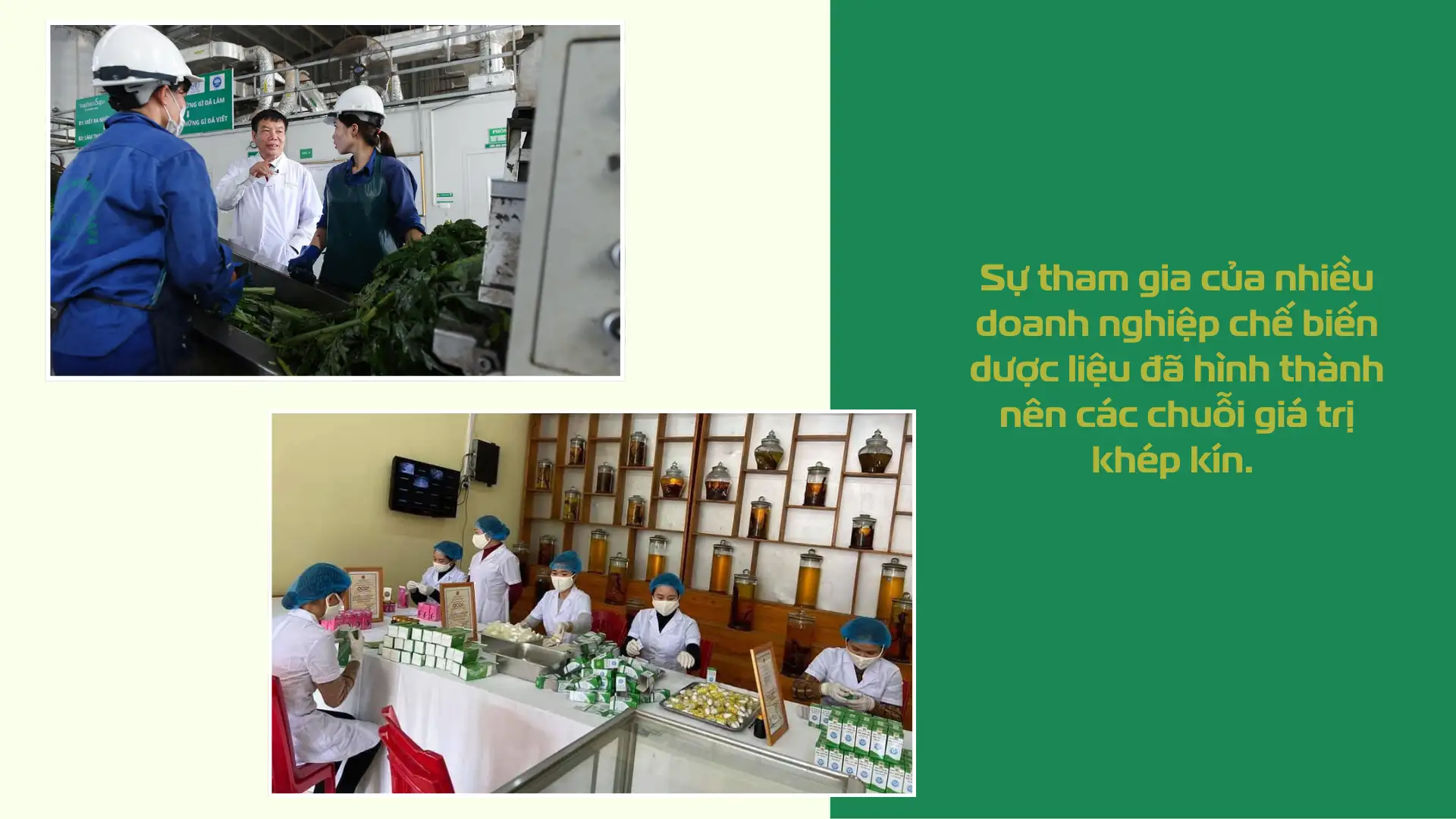 Tầm nhin cho nông nghiệp giá trị cao