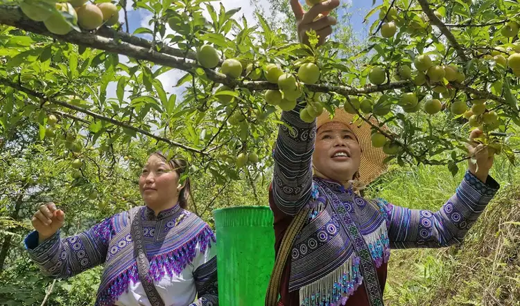Tăng cường vai trò hợp tác xã trong phát triển kinh tế – xã hội