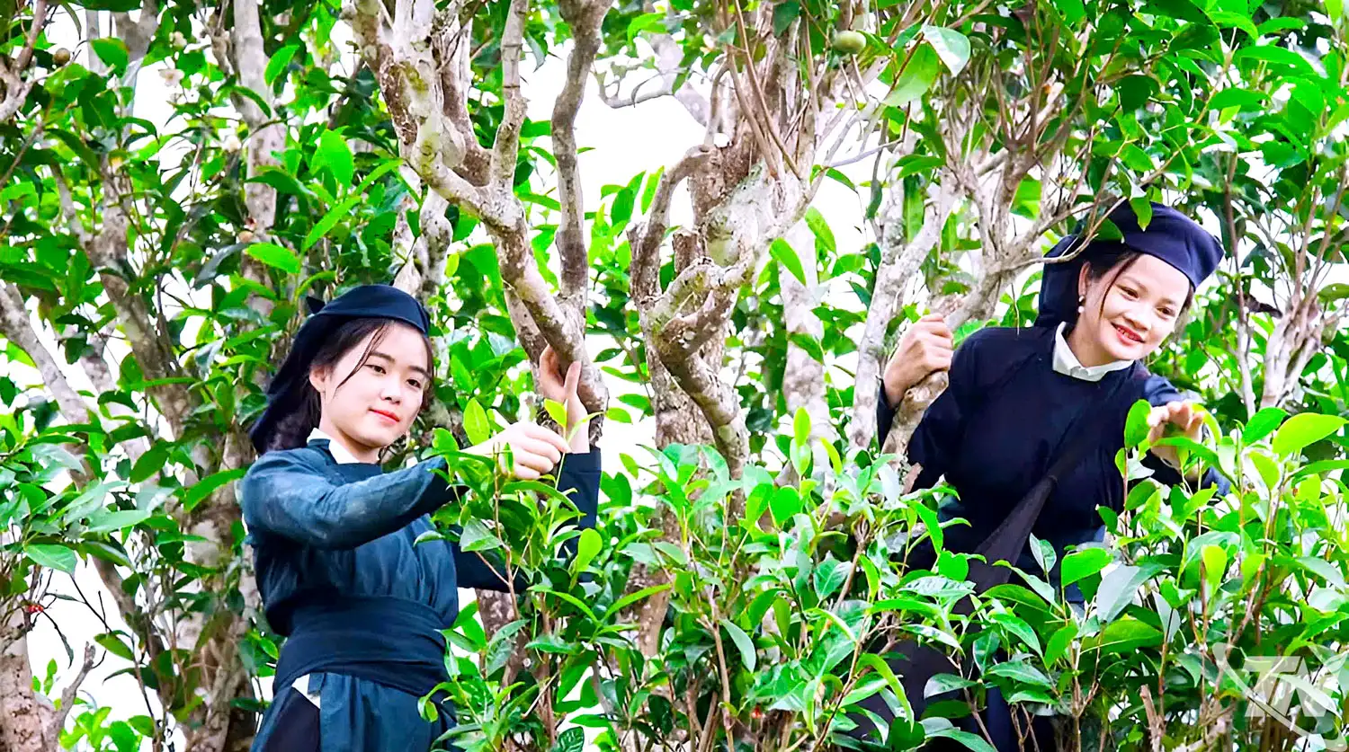 Tạo sinh kế bền vững ở vùng khó khăn