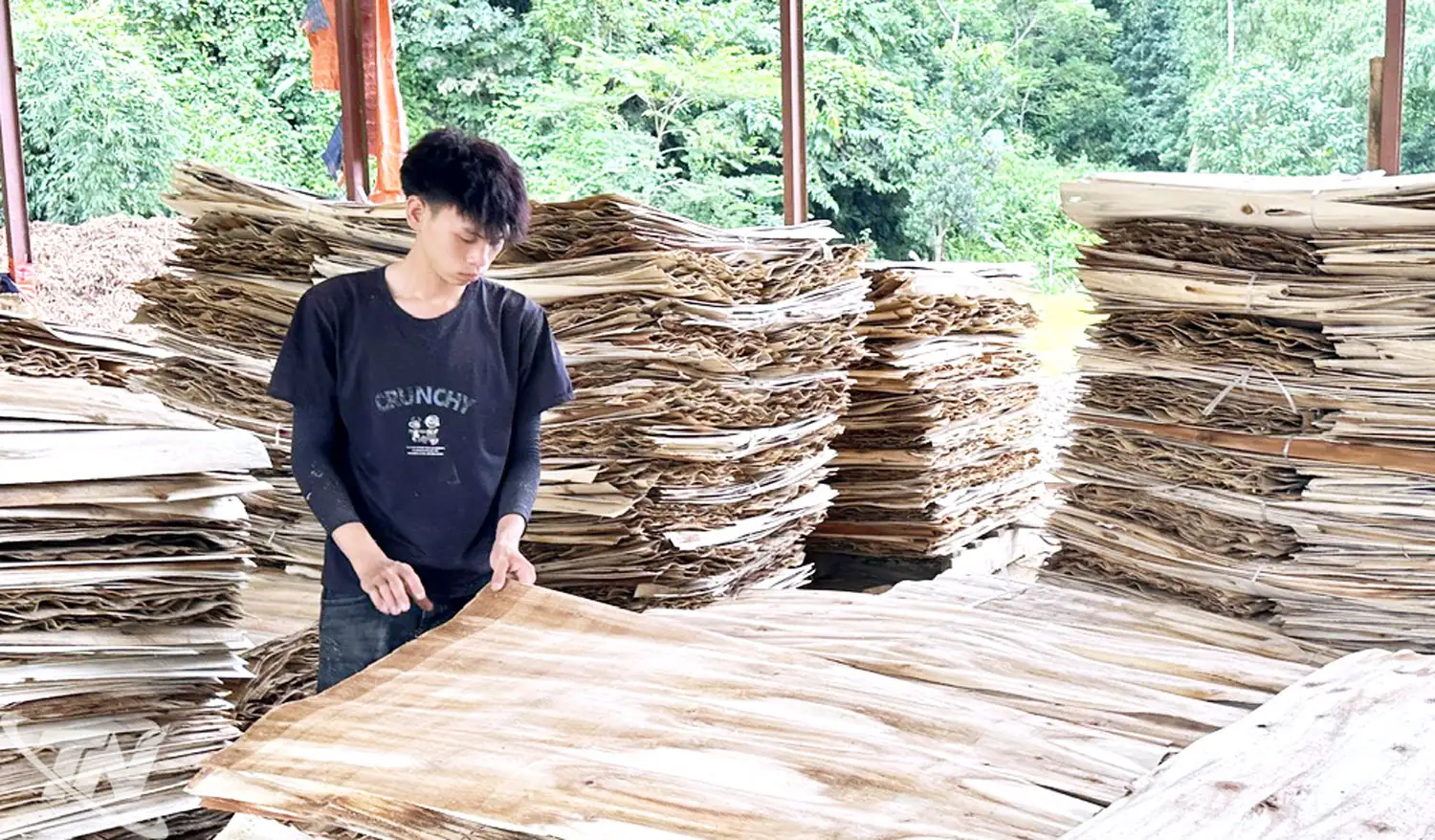 Tạo sinh kế bền vững ở vùng khó khăn