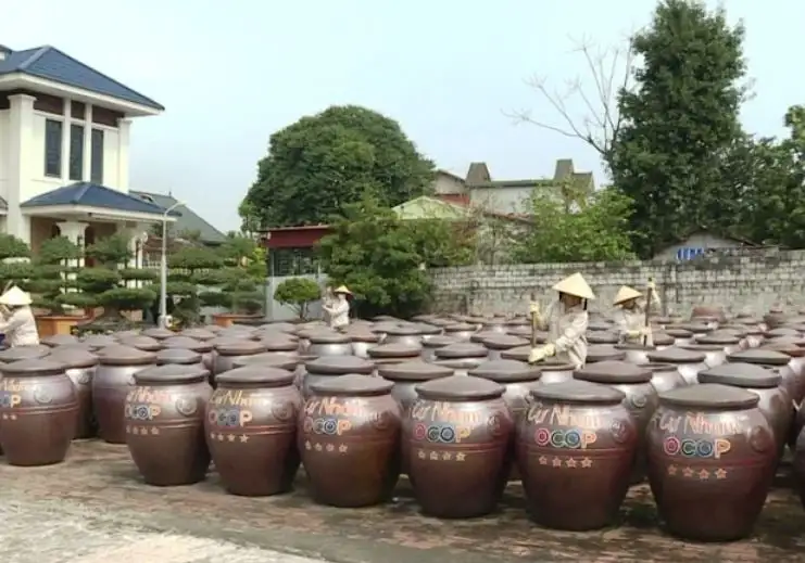 Thanh Hóa thúc đẩy OCOP: 674 sản phẩm đạt chuẩn, mở rộng kênh tiêu thụ