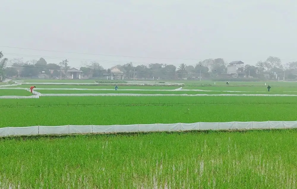 Thanh Hóa xây dựng kế hoạch tiêu chí xã nông thôn mới