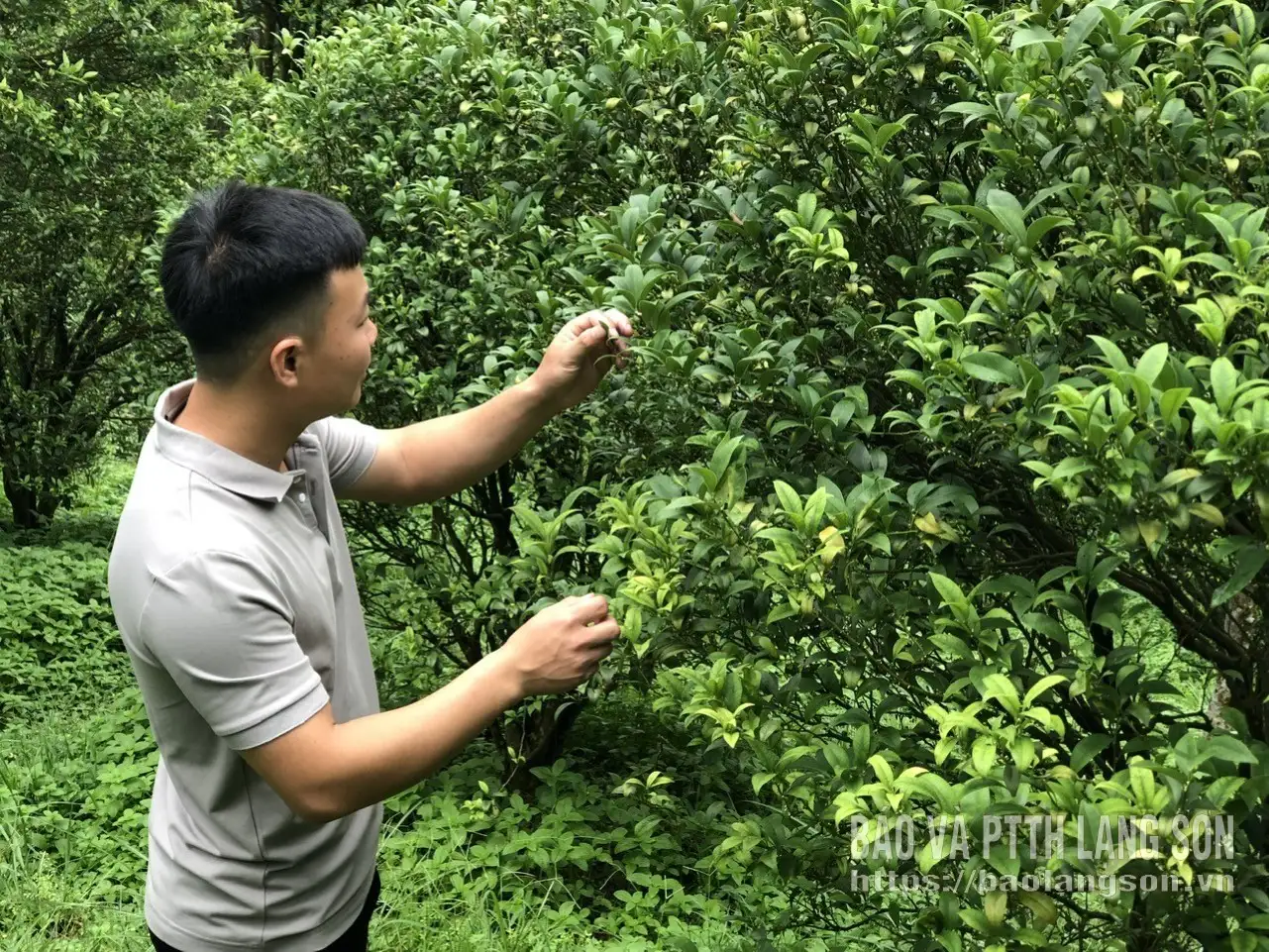 Thanh niên khởi nghiệp