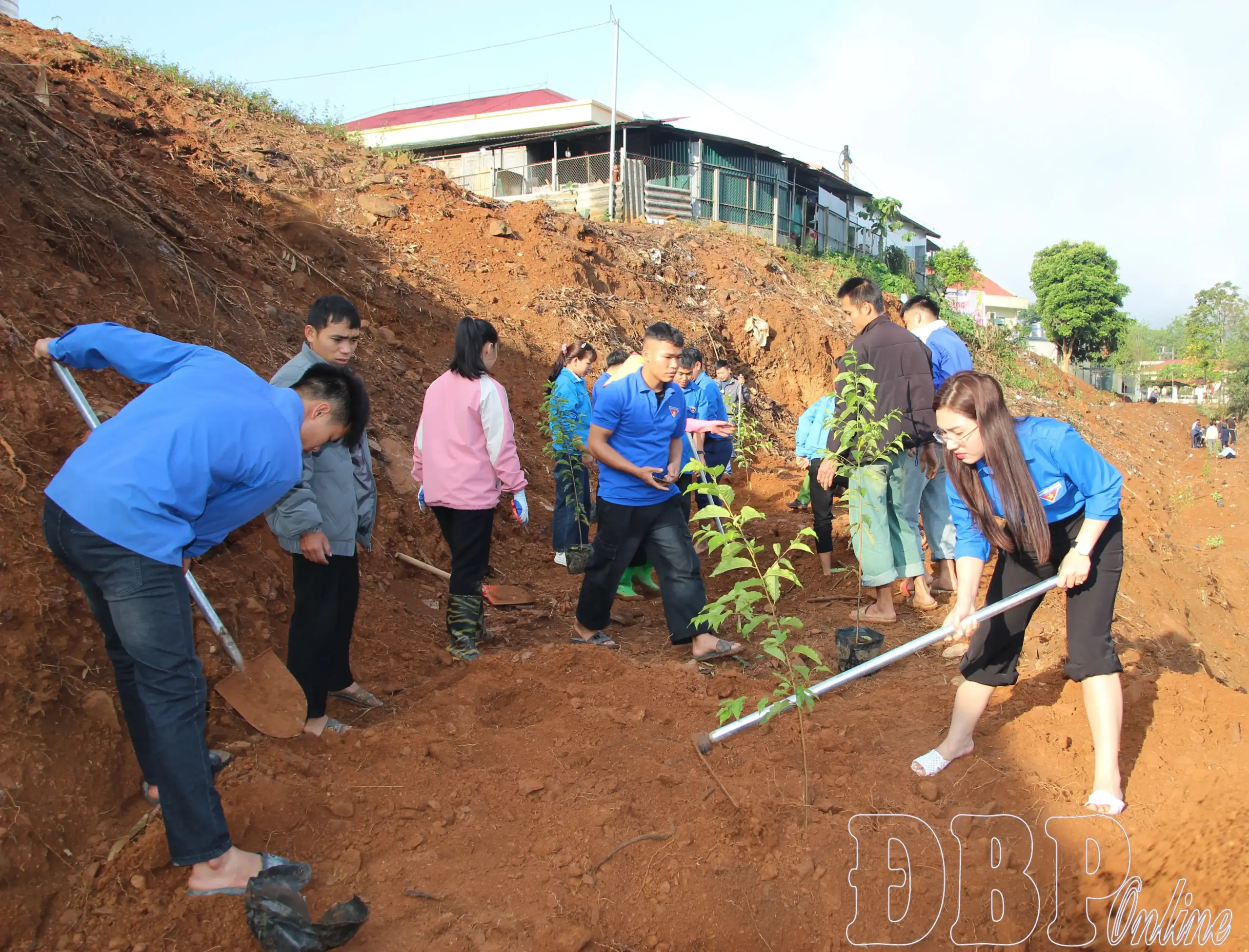 Thanh niên xung kích, sáng tạo xây dựng nông thôn mới