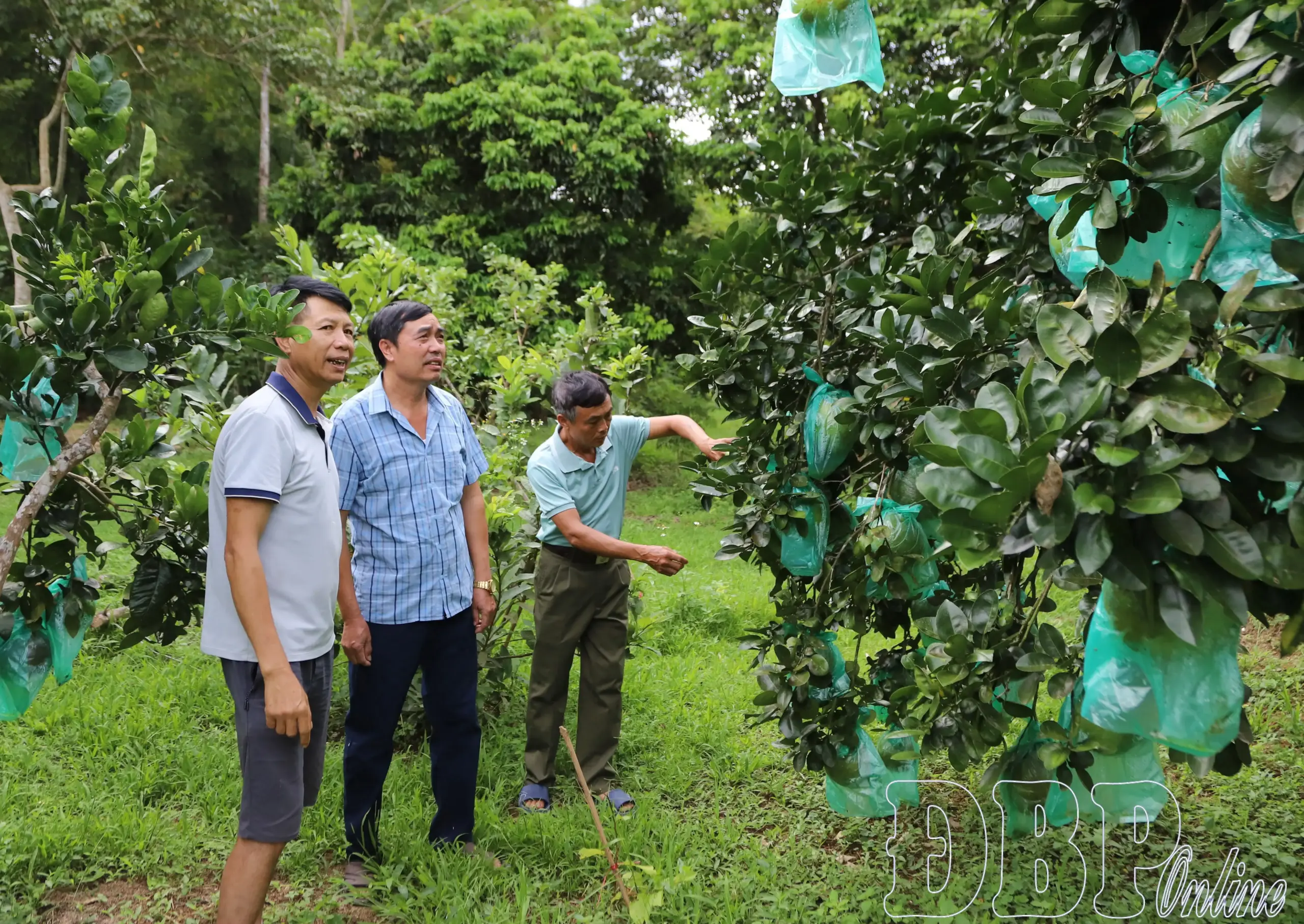 Thanh Nưa phấn đấu đạt chuẩn nông thôn mới
