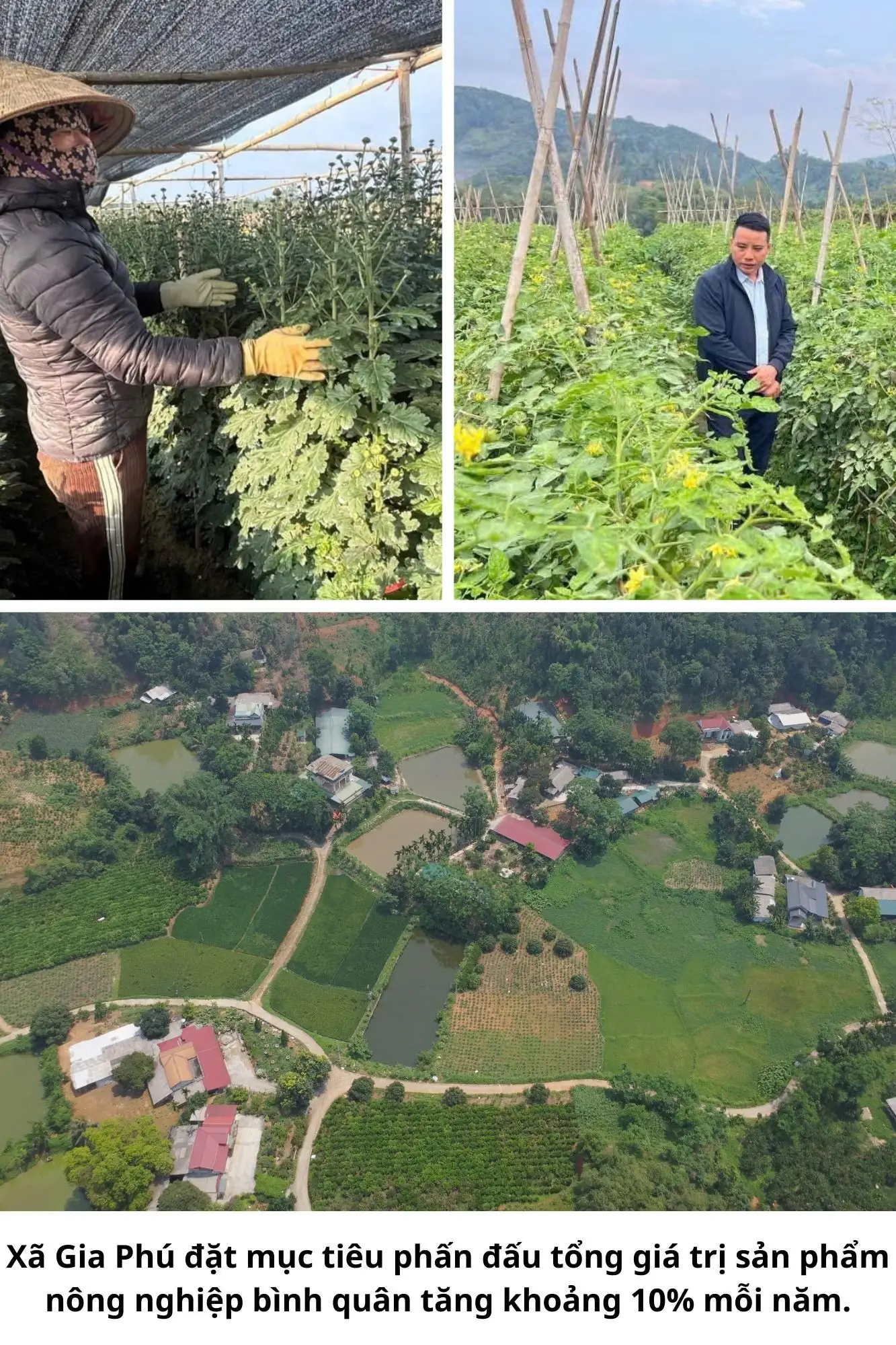 Thêm nguồn lực thúc đẩy sản xuất hàng hóa