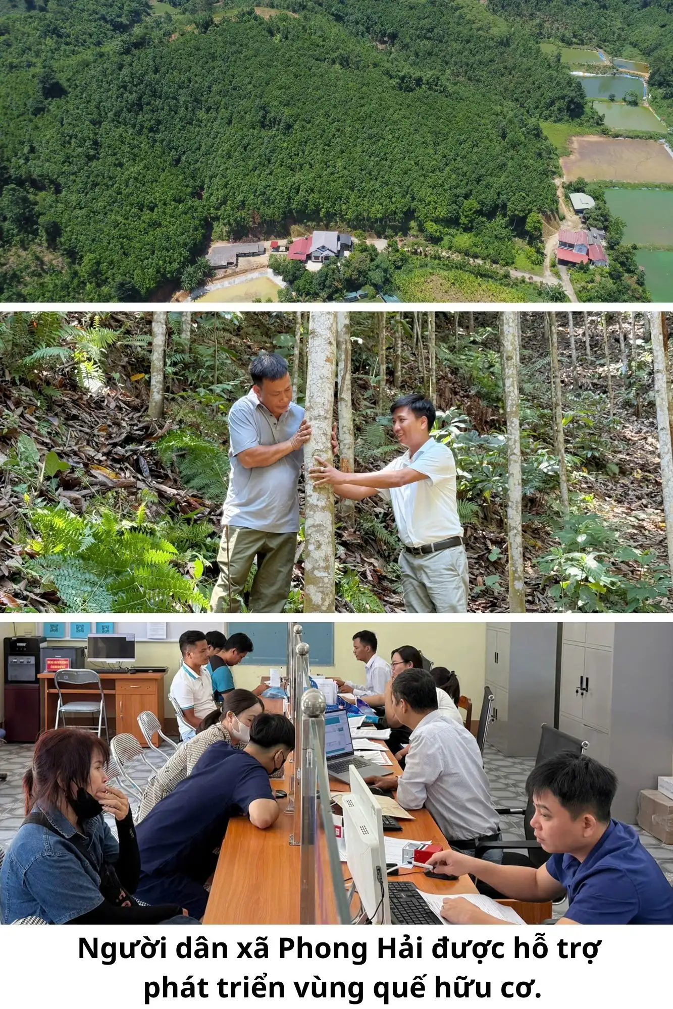 Thêm nguồn lực thúc đẩy sản xuất hàng hóa