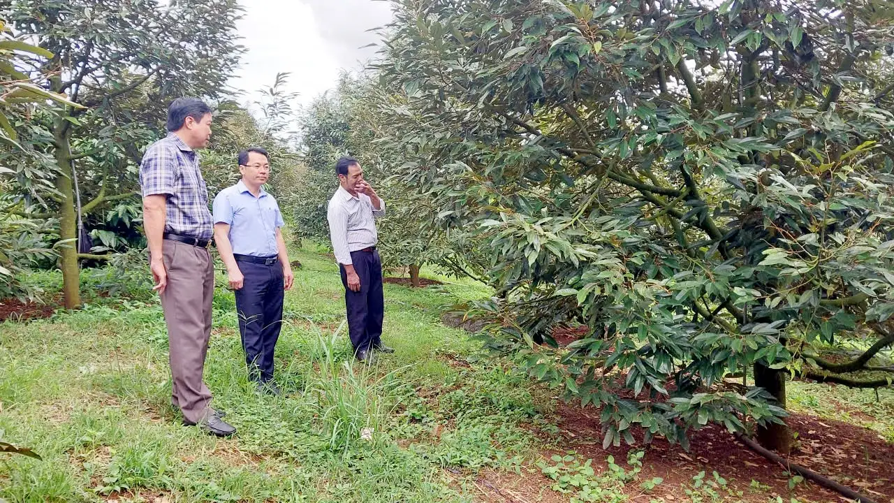 Thúc đẩy kinh tế hợp tác nông nghiệp