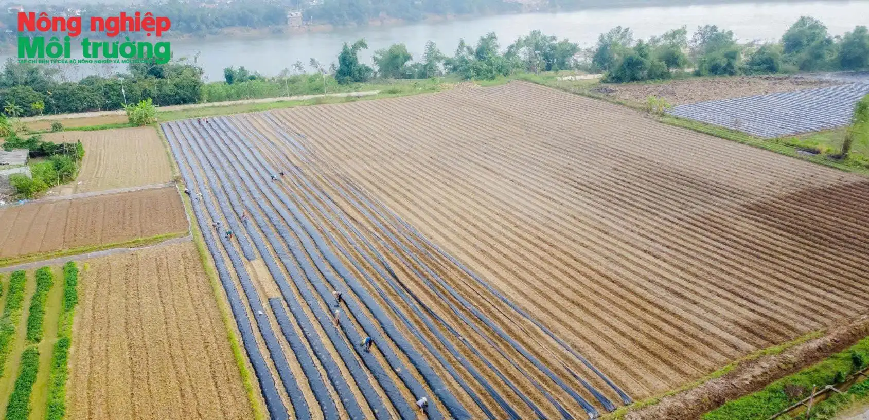 Thức giấc hương quê trong từng giọt thảo dược