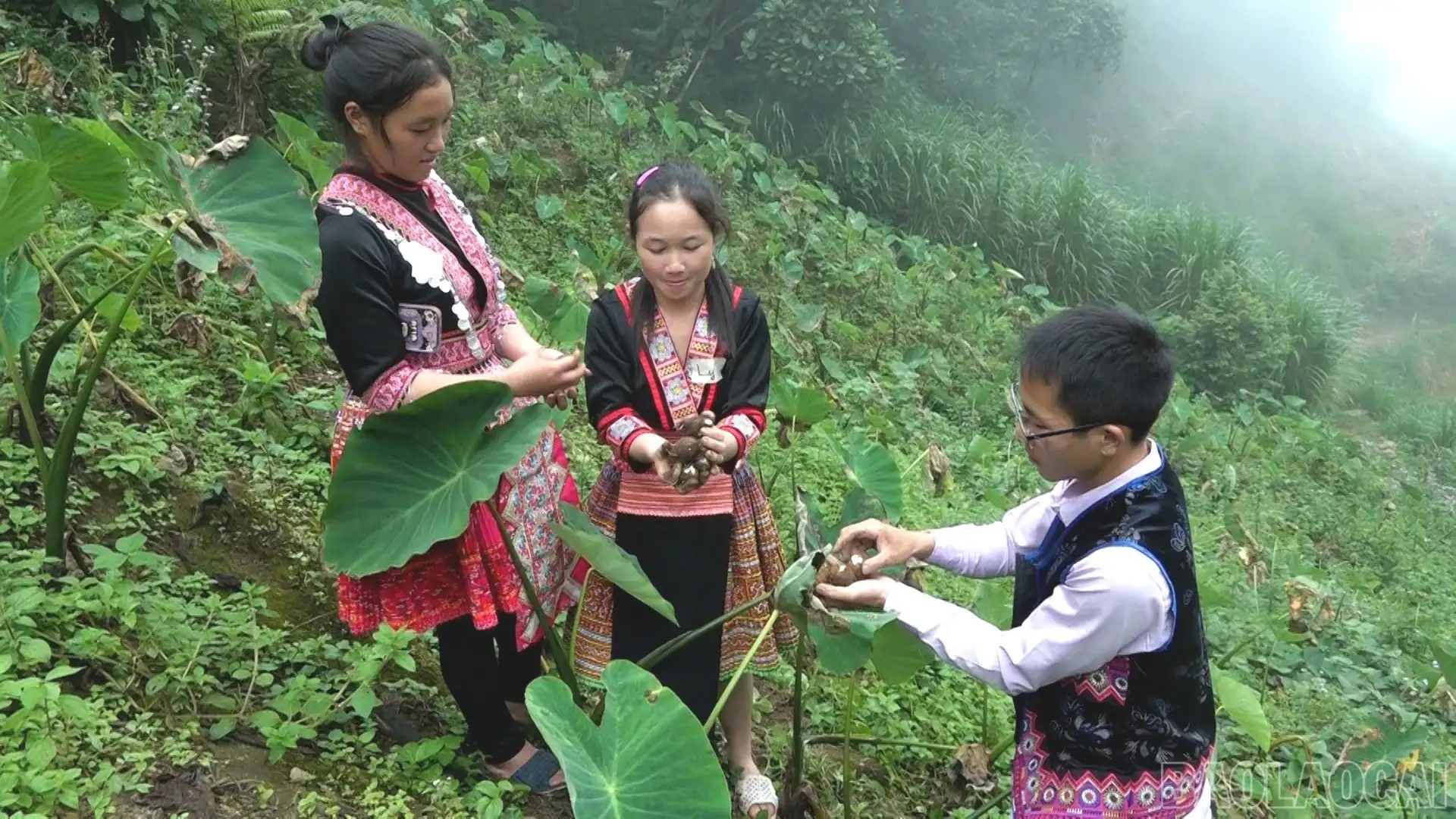 Thương mại điện tử – động lực phát triển cho hợp tác xã vùng cao