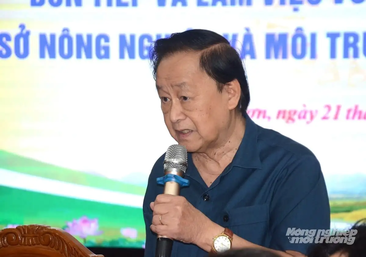 Tiềm năng nào cho cây mắc ca ở Tuyên Quang?