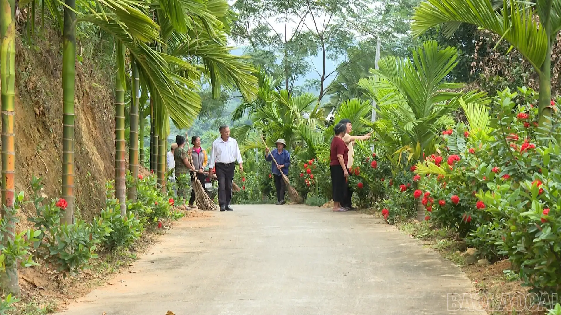 Tiên Phong – điểm sáng thực hiện tiêu chí môi trường