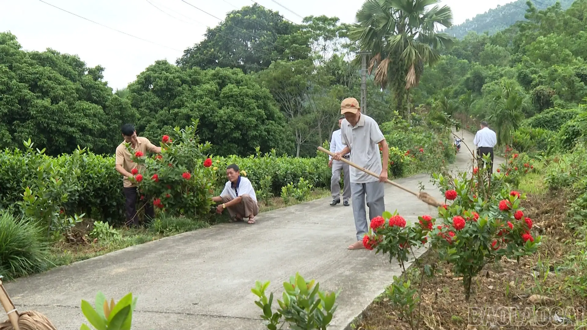 Tiên Phong – điểm sáng thực hiện tiêu chí môi trường
