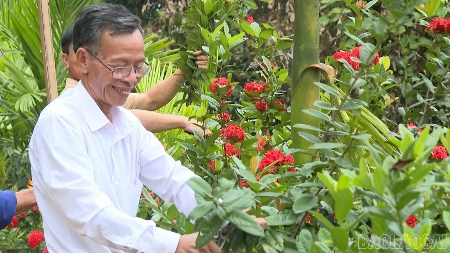 Tiên Phong – điểm sáng thực hiện tiêu chí môi trường