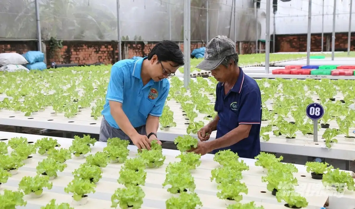 TP.HCM đẩy mạnh phát triển ngành nghề nông thôn