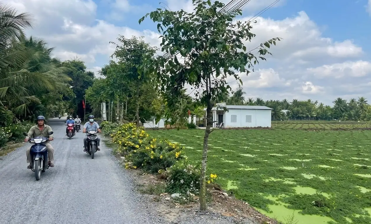 Trà Côn trước bài toán khó nông thôn mới