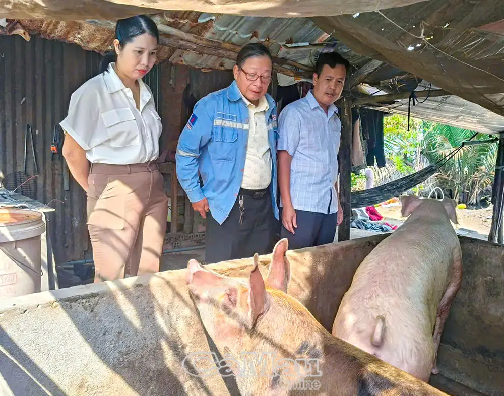 Trợ lực phát triển hợp tác xã