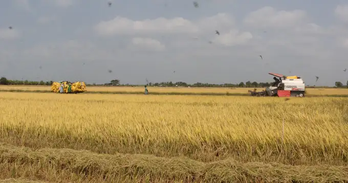 Trợ lực phù hợp để giúp đồng bào Khmer xóa đói nghèo bền vững