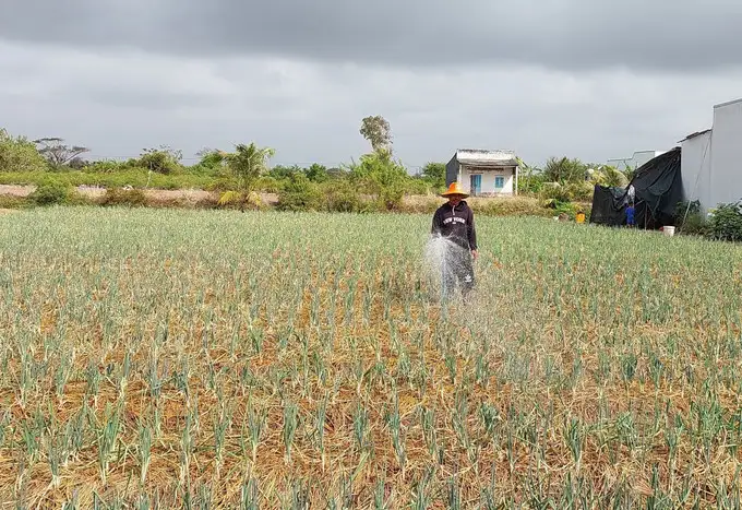 Trợ lực phù hợp để giúp đồng bào Khmer xóa đói nghèo bền vững