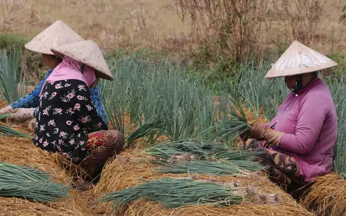 Trợ lực phù hợp để giúp đồng bào Khmer xóa đói nghèo bền vững