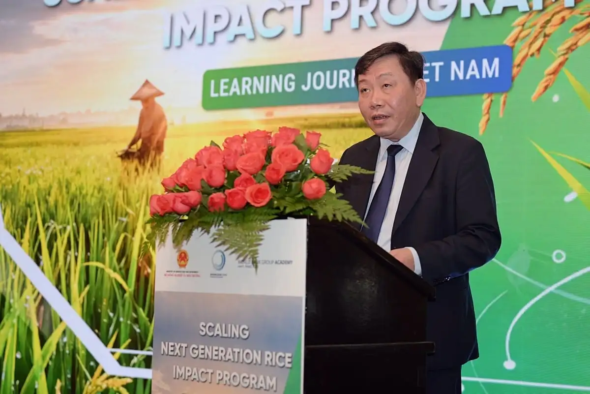 Trồng lúa theo chuẩn mới sẽ có thêm thu nhập