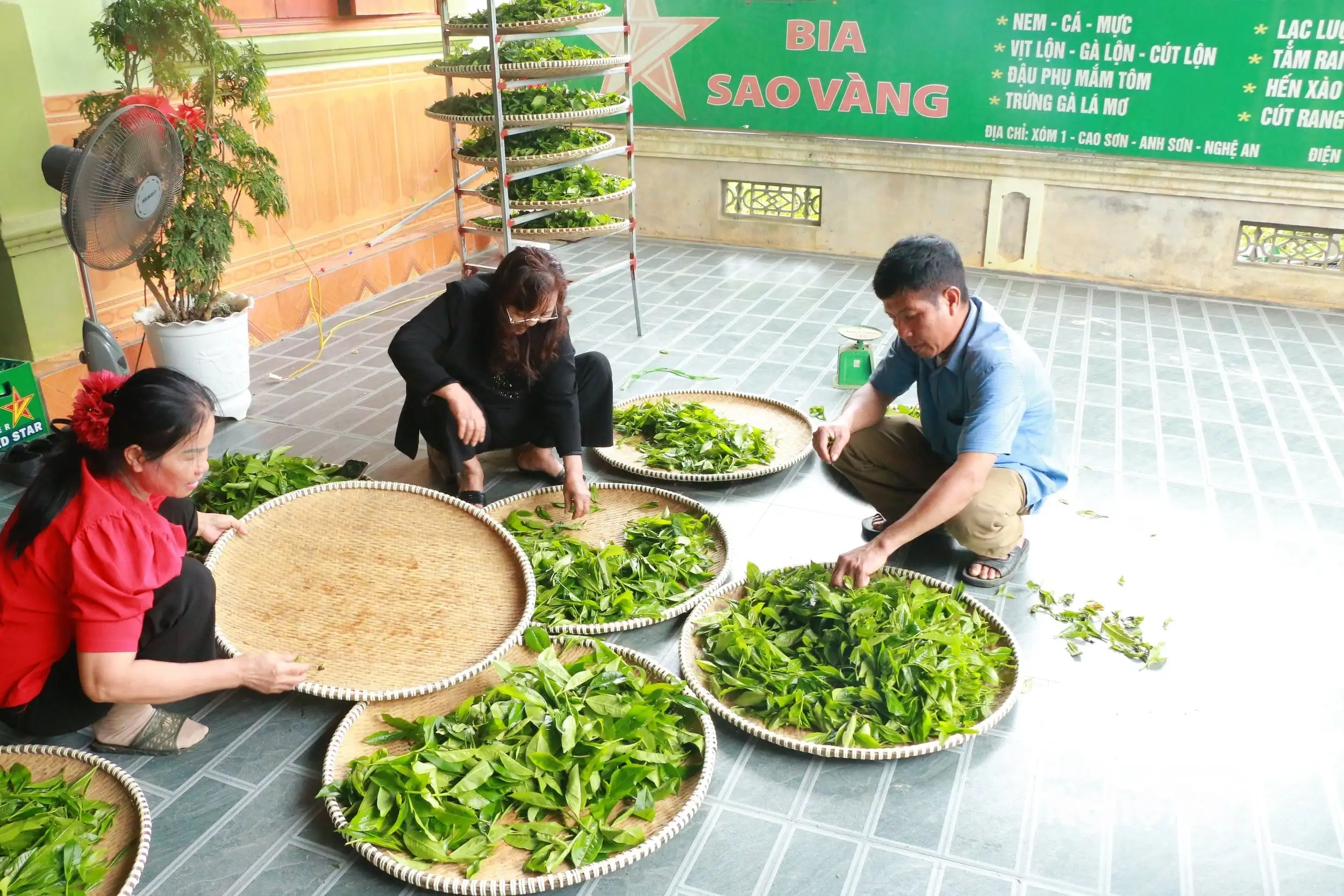 Trưởng thôn tiên phong đổi mới mở lối làm giàu