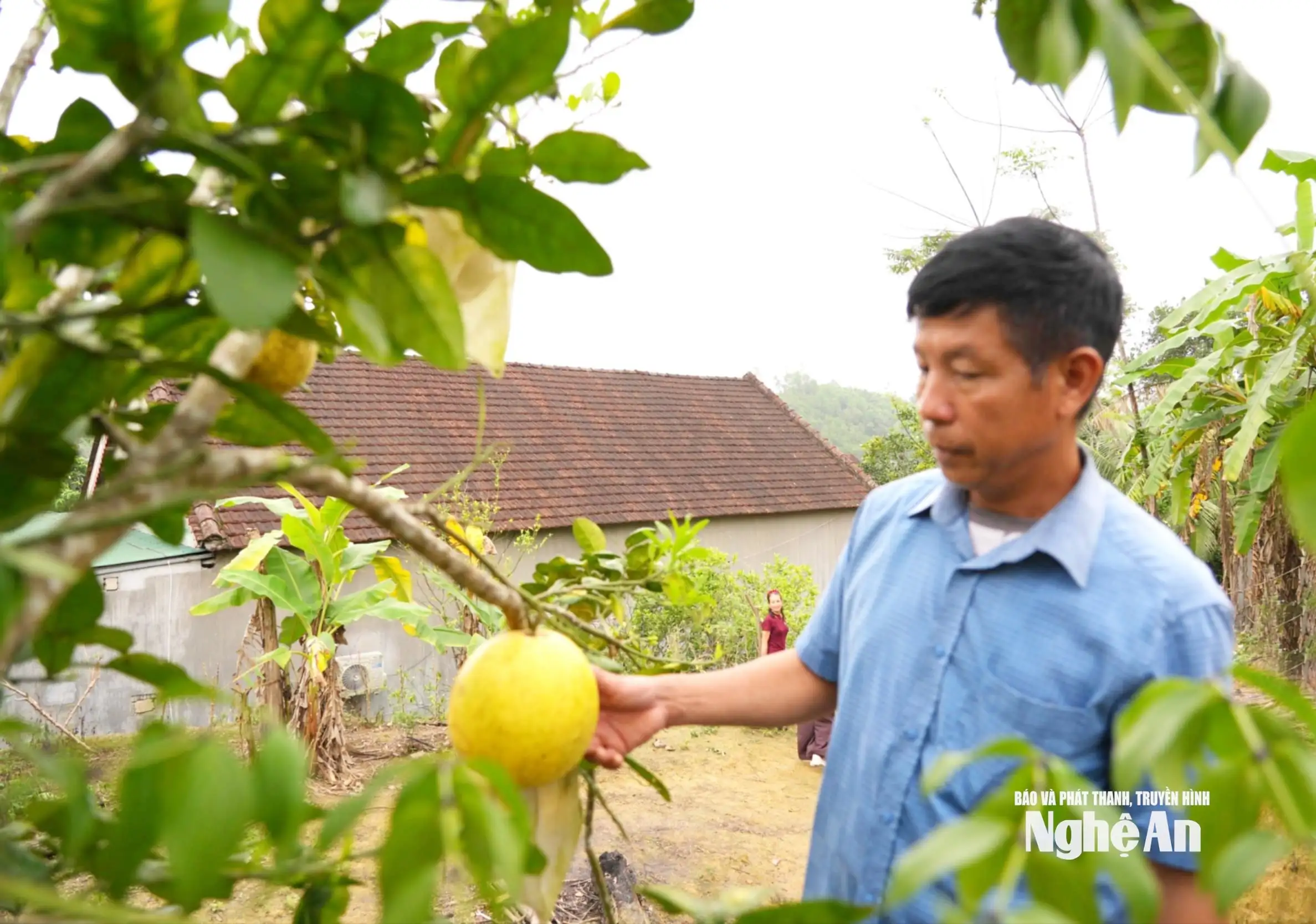 Trưởng thôn tiên phong đổi mới mở lối làm giàu