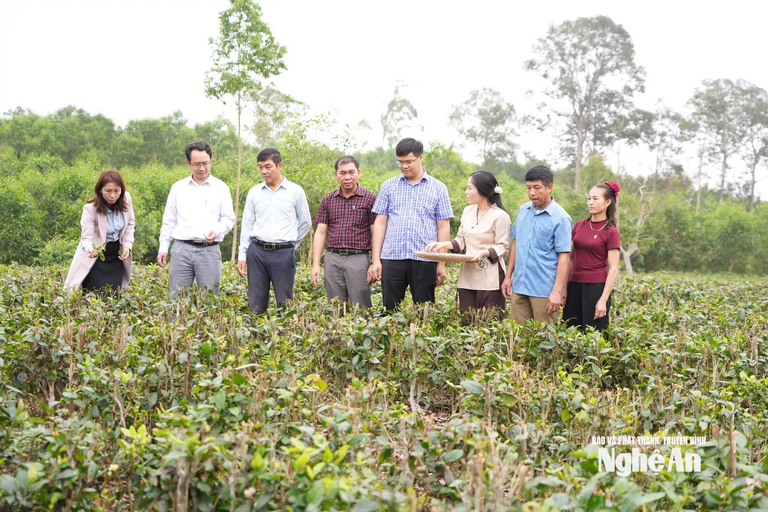 Trưởng thôn tiên phong đổi mới mở lối làm giàu