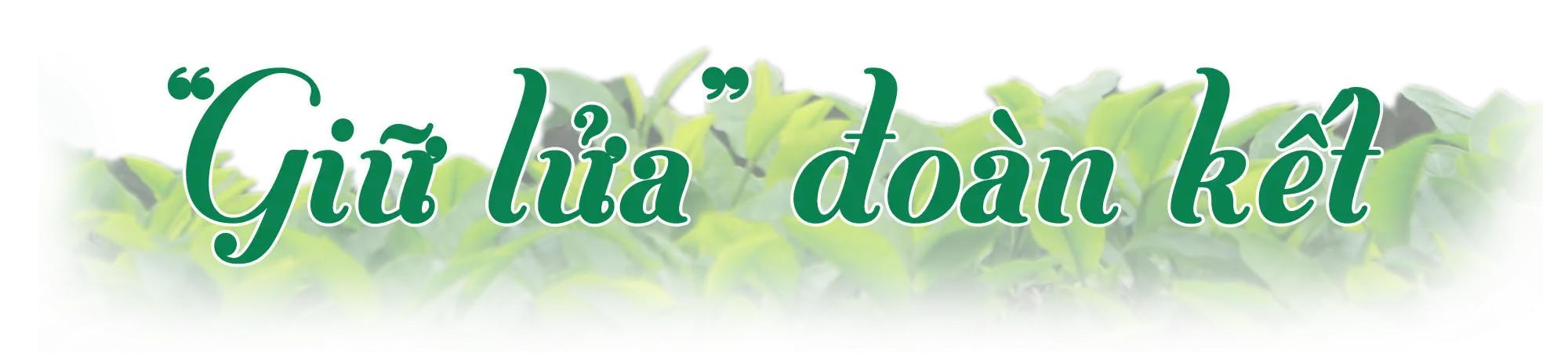 Trưởng thôn tiên phong đổi mới mở lối làm giàu