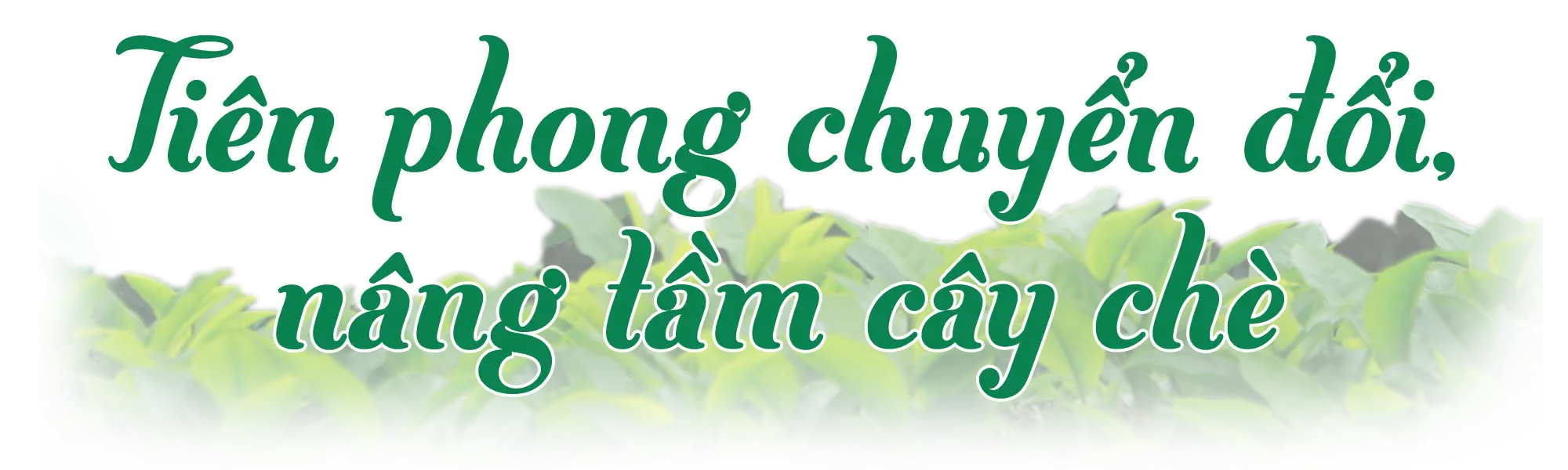 Trưởng thôn tiên phong đổi mới mở lối làm giàu