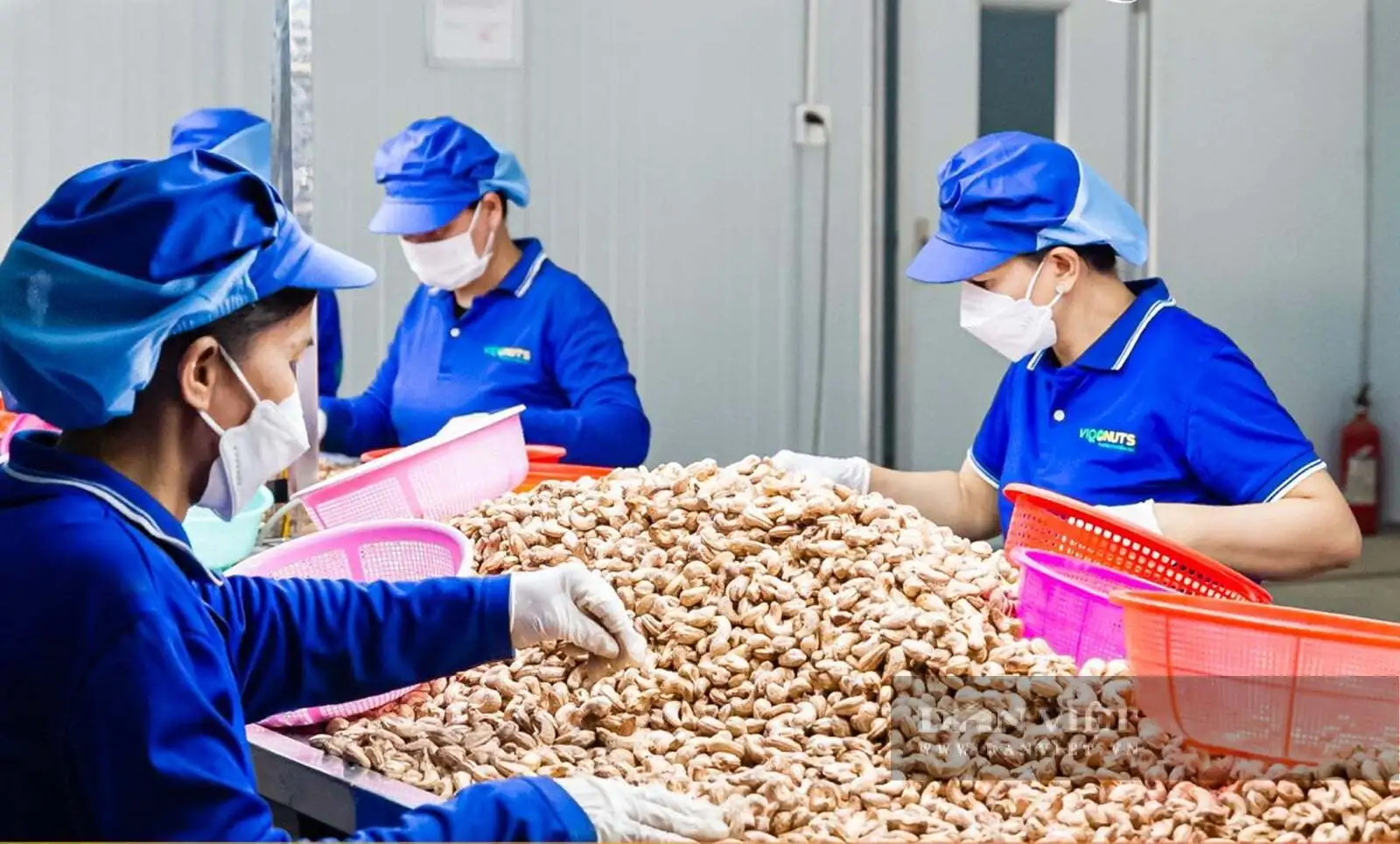 Từ cà phê, điều, sen đến bưởi, phụ nữ Đồng Nai rẽ hướng làm OCOP, nông sản từ xưởng nhỏ vươn ra chợ toàn cầu