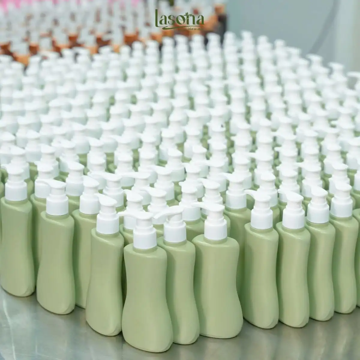 Từ cây dược liệu đến những sản phẩm OCOP