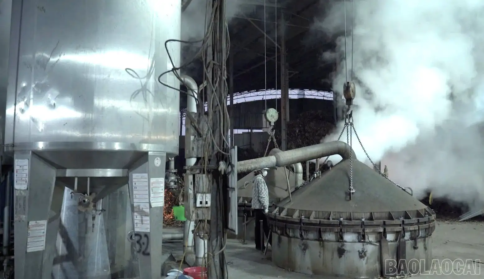 Từ xuất khẩu thô đến thương hiệu tinh dầu quốc tế