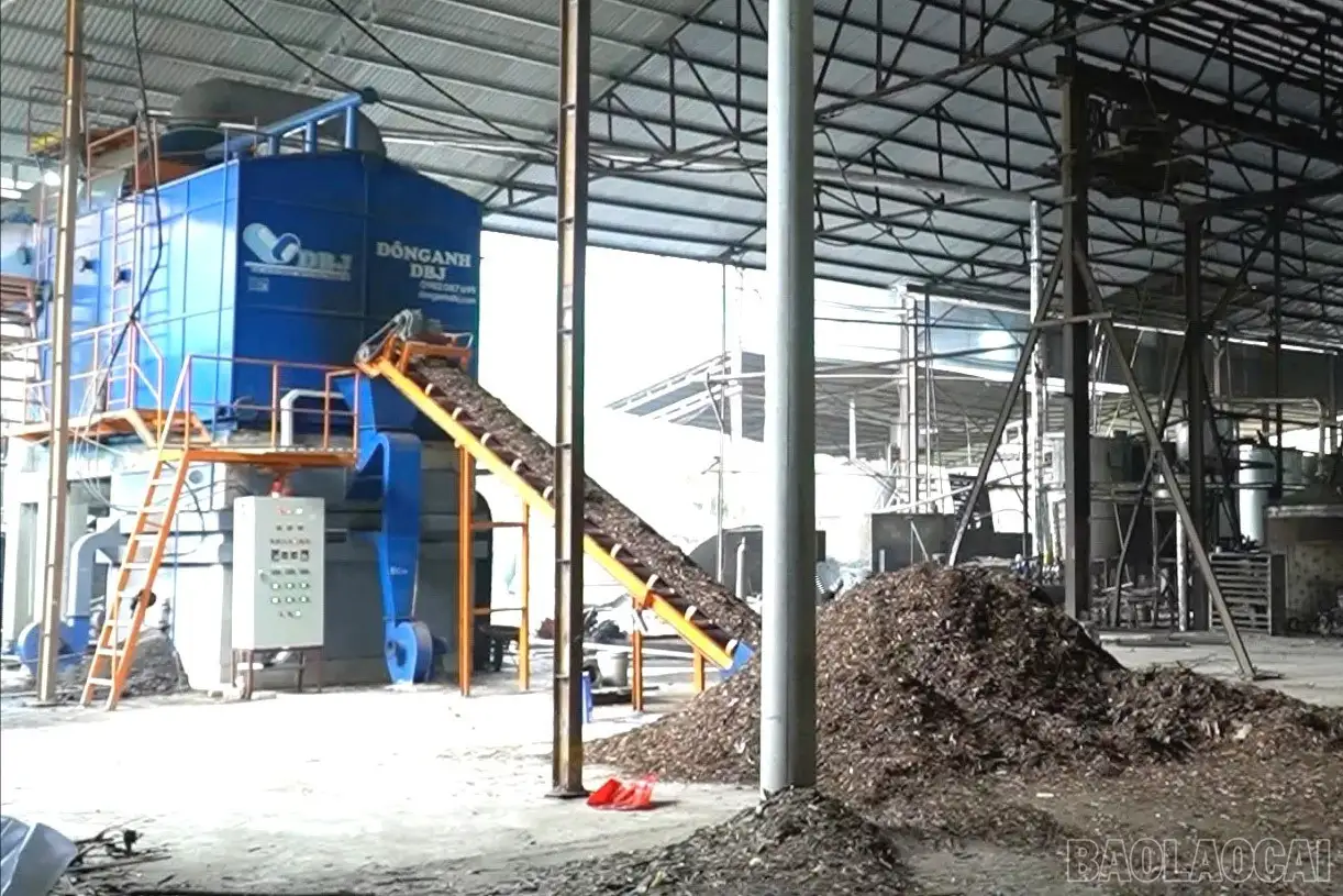 Từ xuất khẩu thô đến thương hiệu tinh dầu quốc tế