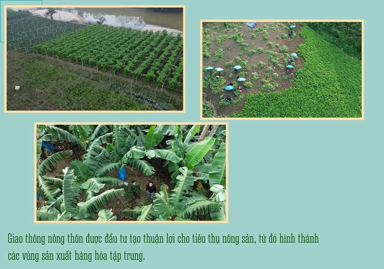 Từng bước hoàn thiện cơ sở hạ tầng giao thông nông thôn