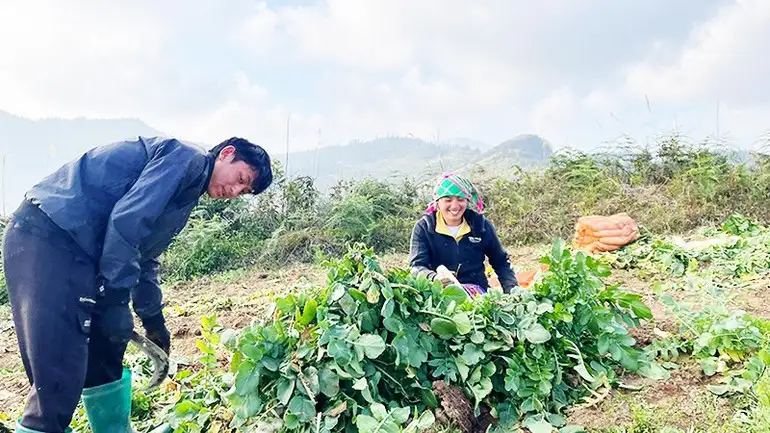 ừng bước đổi thay diện mạo vùng cao