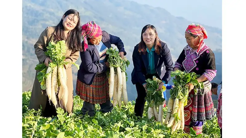 Từng bước đổi thay diện mạo vùng cao