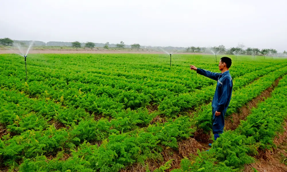 Ứng dụng công nghệ cao, nâng giá trị sản xuất nông nghiệp