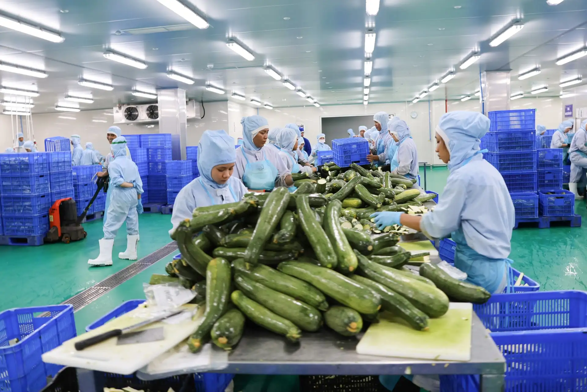 Ứng dụng công nghệ để nâng tầm nông sản